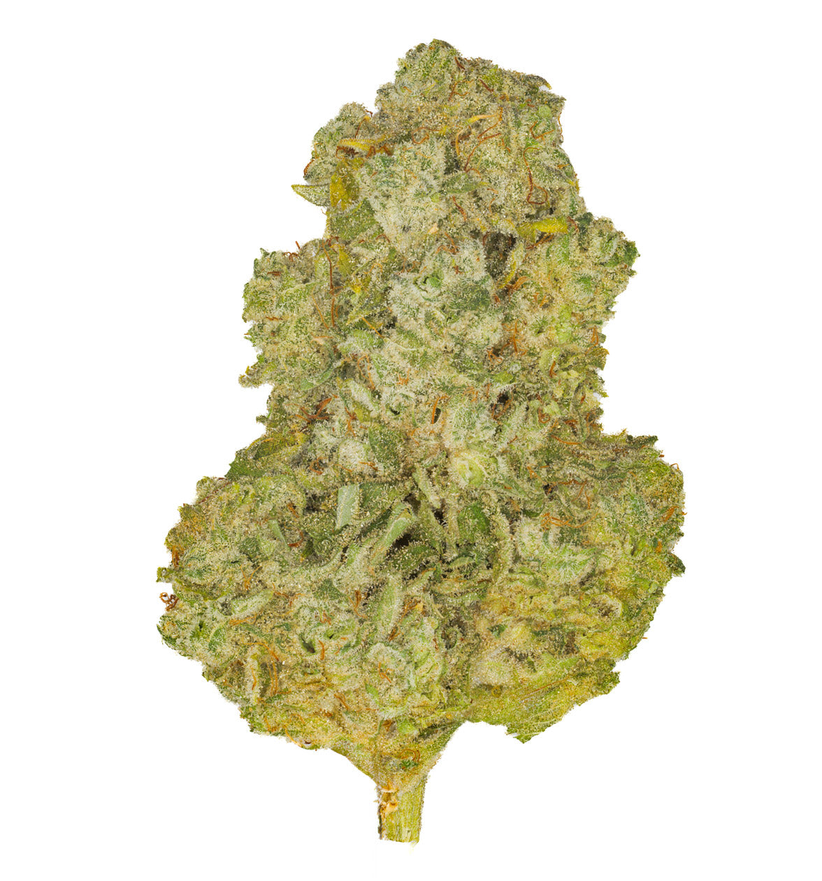 LAB – DFTB-25001 – 5g