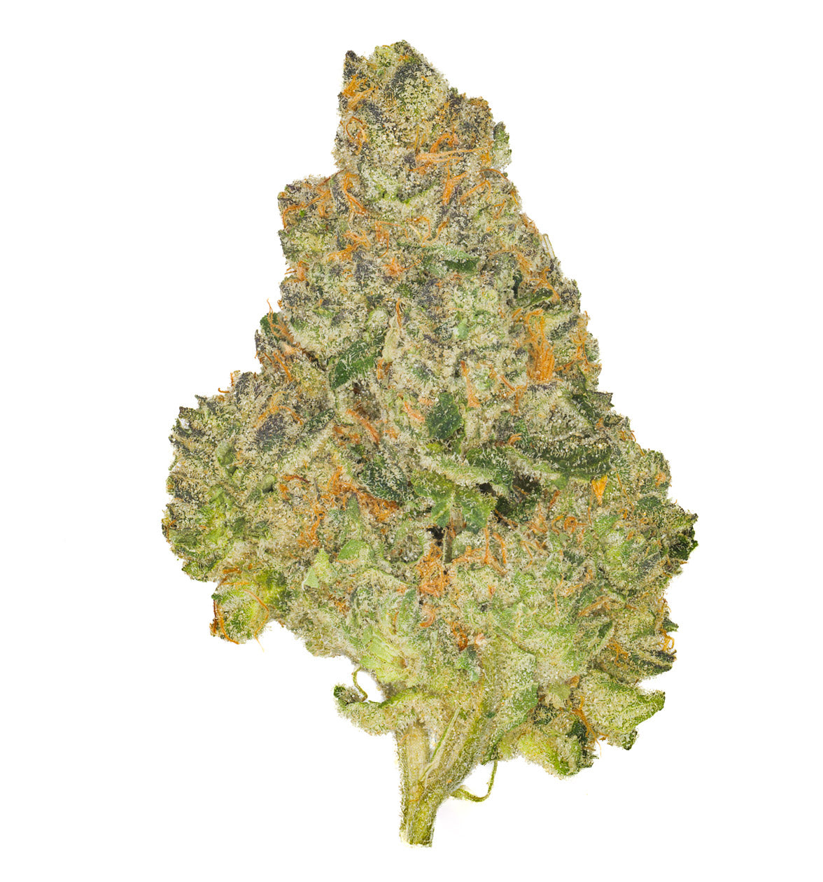 LAB – DFTB-25002 – 5g