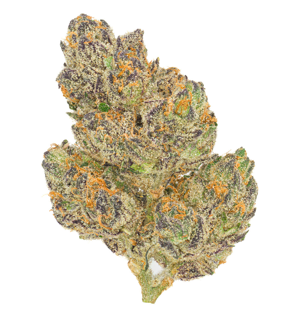 Seasonal Stash - Pemby Purp