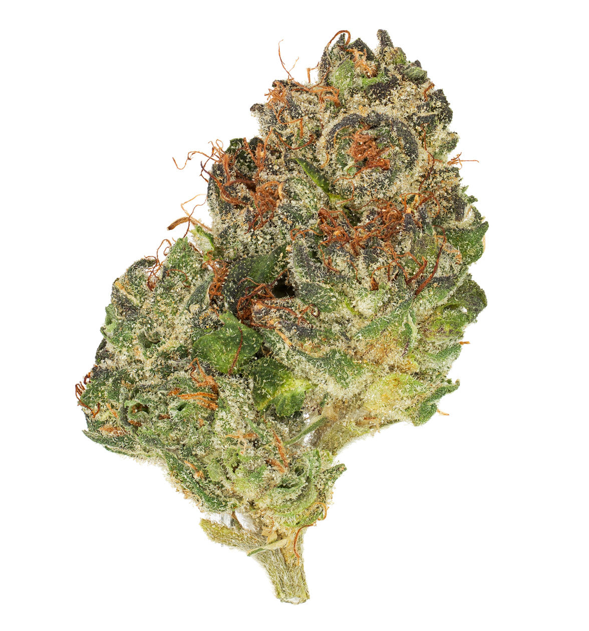 LAB – DFTB-25006 – 5g