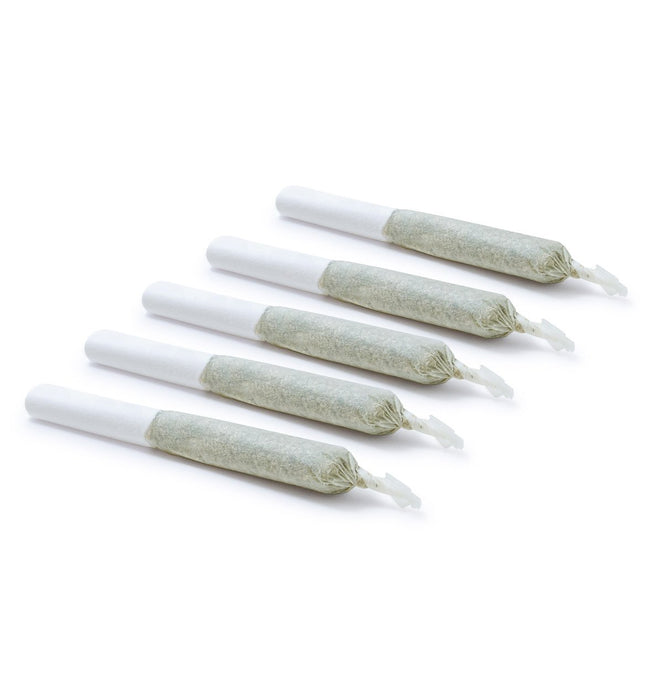 Préroulés Sedamen 5 x 0,5 g