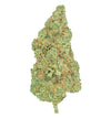 Critical Diesel