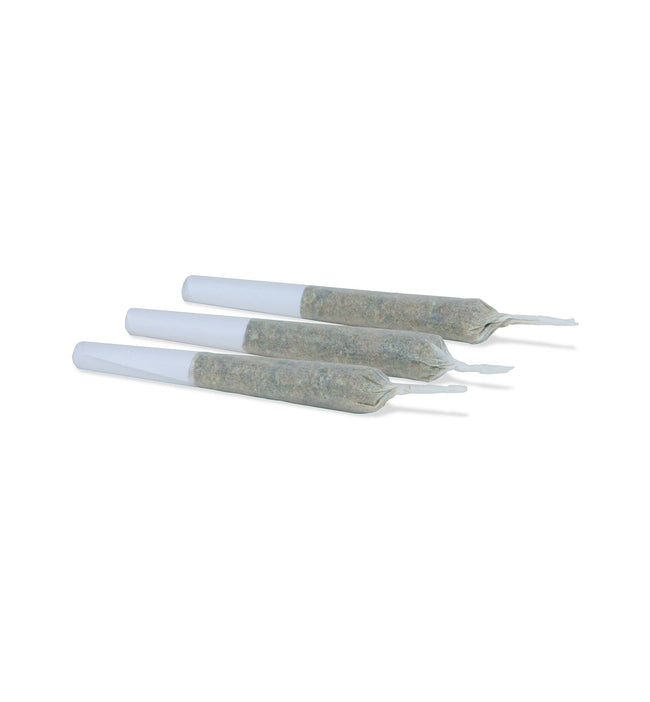 Préroulés de Tangerine Dream de San Rafael