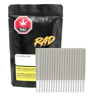 Préroulés indica Waffle Cone (paquet de 20)