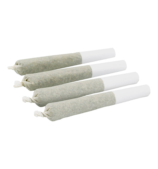 Préroulés Island Nights infusés de CBD + CBN