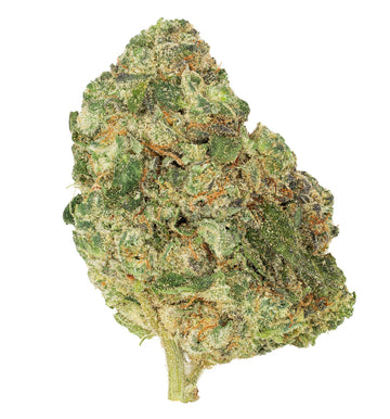 Seasonal Stash™ - Island Octane™ 10g
