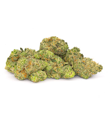 Seasonal Stash™ – Terpquake™