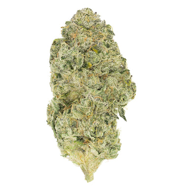 Stormchaser OG