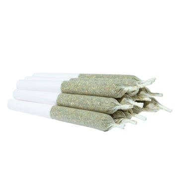 Préroulés Custard Kush™ (12 x 0,3 g)
